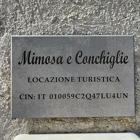 Mimosa E Conchiglie Sestri Levante